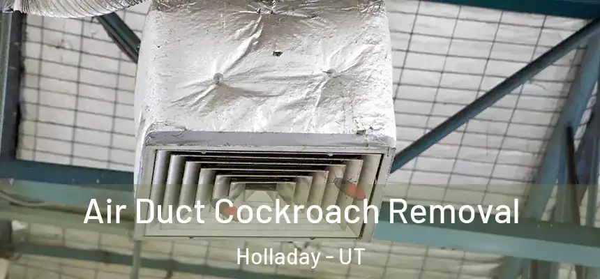  Air Duct Cockroach Removal Holladay - UT
