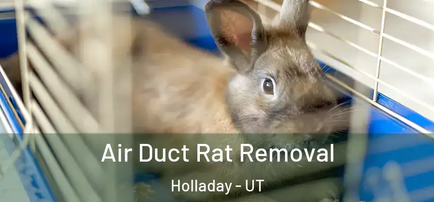 Air Duct Rat Removal Holladay - UT