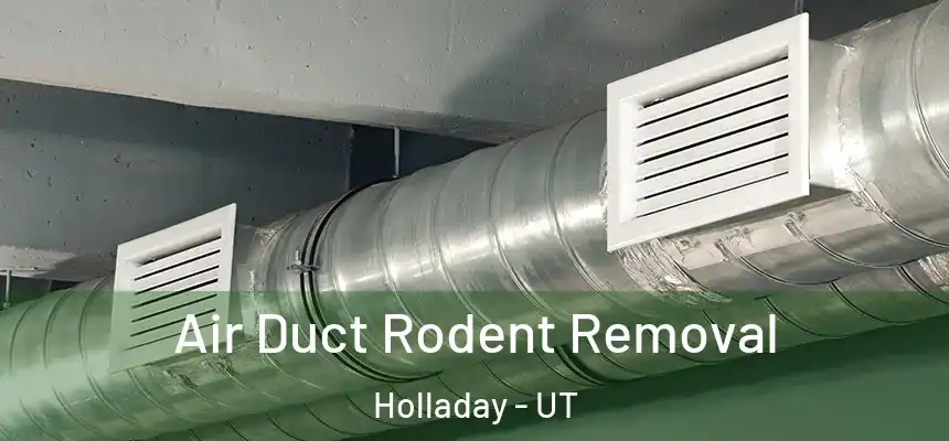 Air Duct Rodent Removal Holladay - UT