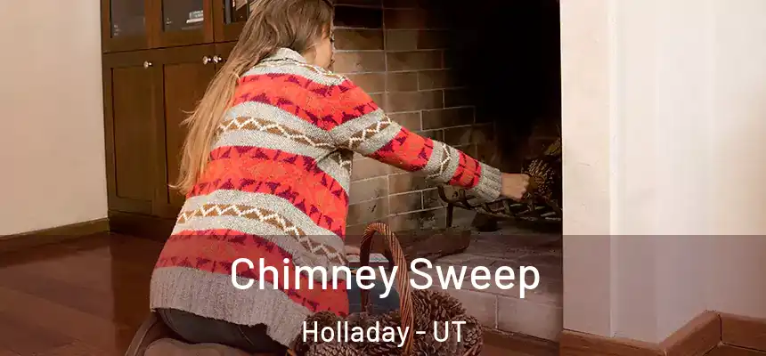  Chimney Sweep Holladay - UT