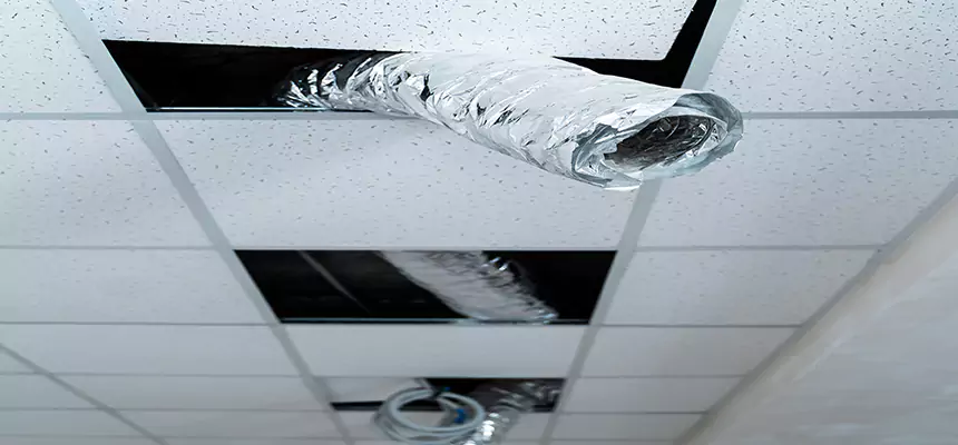 Our Air Duct Pet Hair Removal Services in Holladay, UT