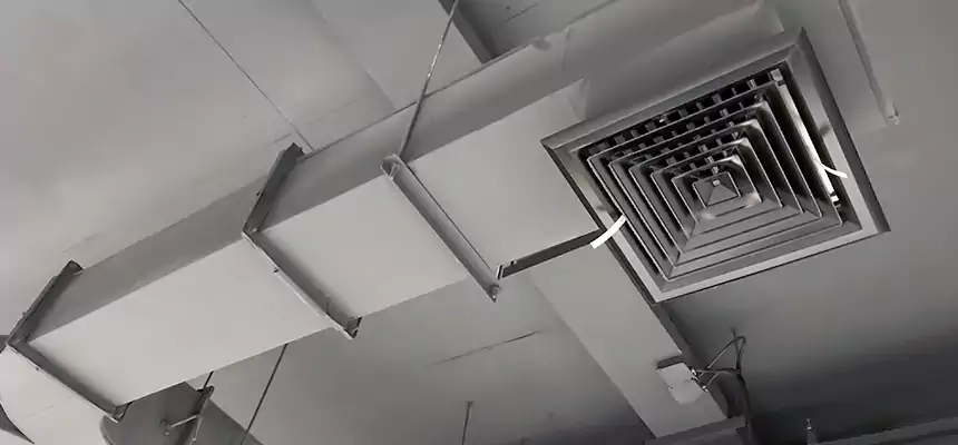 Restorative Allergy Relief Vent Cleaning – Coil, Blower & Housing Detail in Holladay