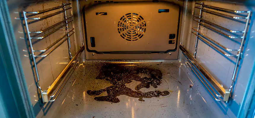 Our Dryer Vent Mold Cleaning Services in Holladay, UT