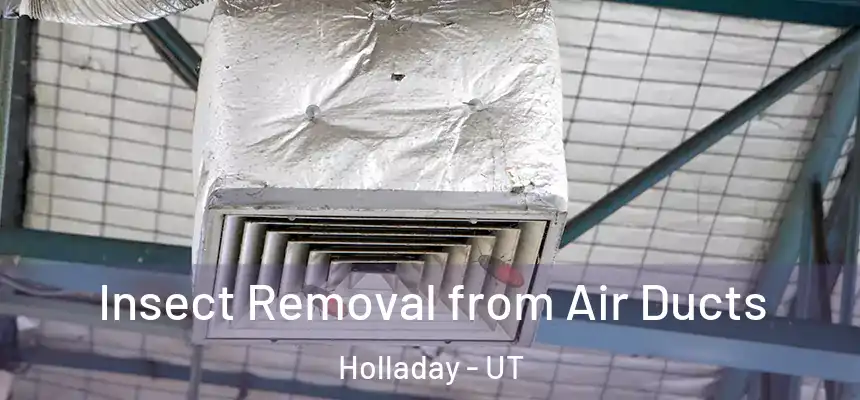  Insect Removal from Air Ducts Holladay - UT