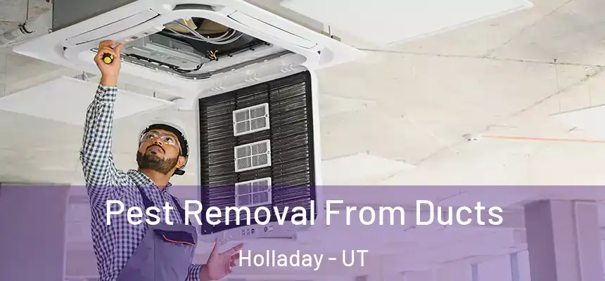 Pest Removal From Ducts Holladay - UT