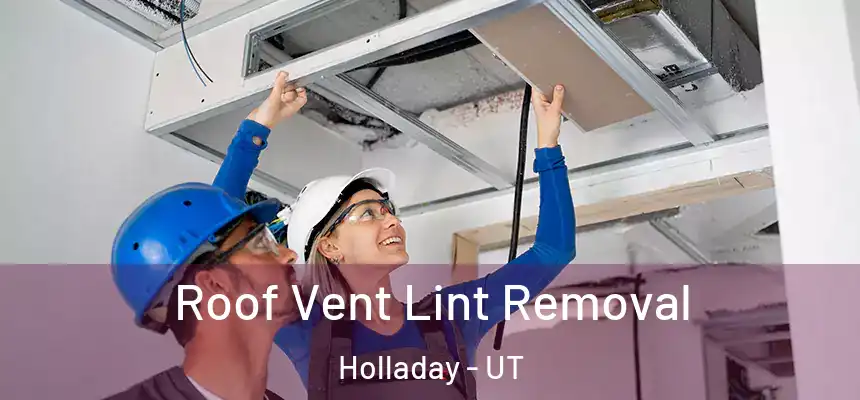 Roof Vent Lint Removal Holladay - UT