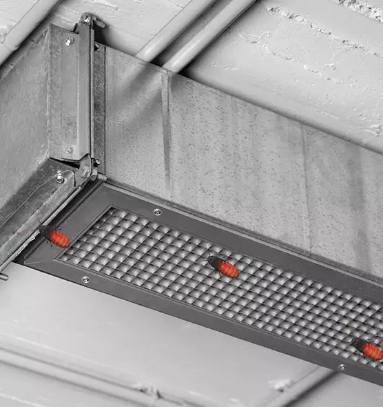 Affordable Insect Removal from Air Ducts in Holladay, UT