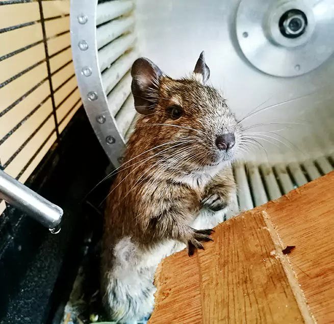 Why Homeowners & Businesses Trust Us Holladay, UT?