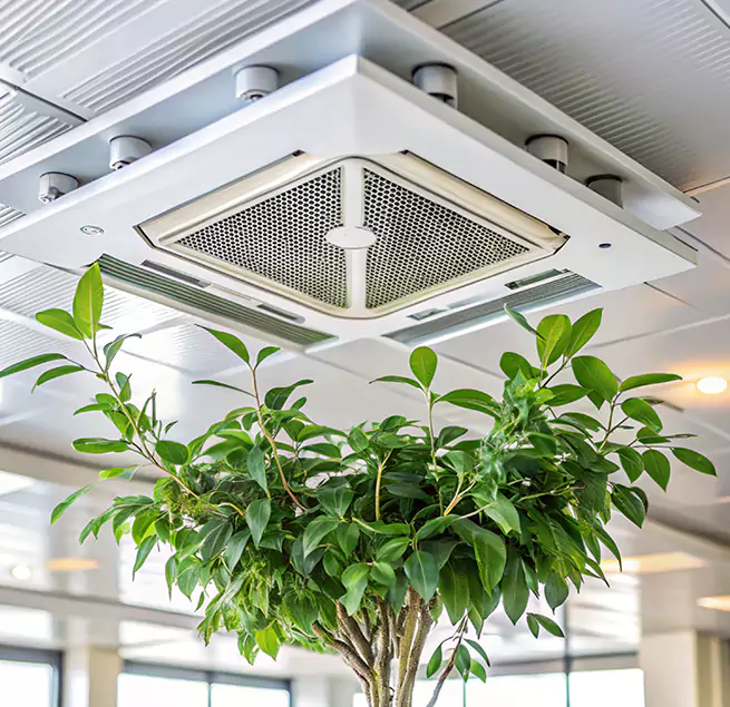 Why Homeowners & Businesses Trust Us in Holladay, UT?